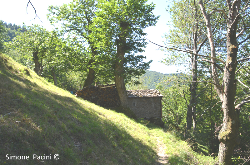 CANAL DI SASSO: ABITAZIONI
